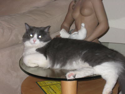 Calin Aug 07